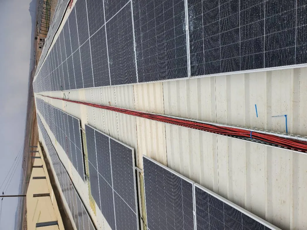 First Seed Center System - Dhamar