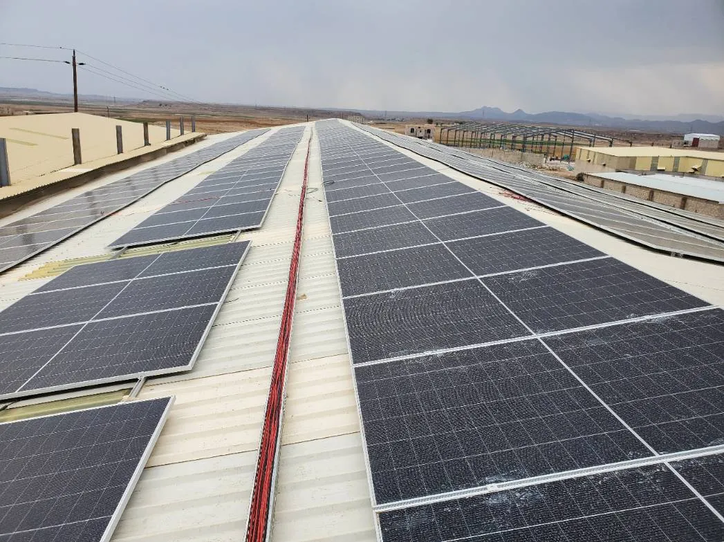 Additional image 3 from First Seed Center System - Dhamar project